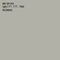 #B1B1A8 - Nomad Color Image
