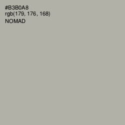 #B3B0A8 - Nomad Color Image