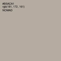 #B5ACA1 - Nomad Color Image