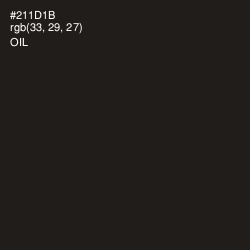 #211D1B - Oil Color Image