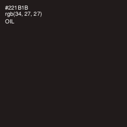 #221B1B - Oil Color Image