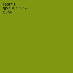 #809711 - Olive Color Image