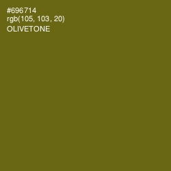 #696714 - Olivetone Color Image