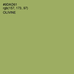 #9DAD61 - Olivine Color Image