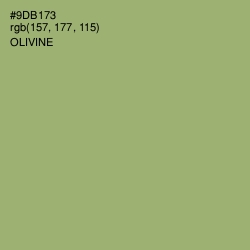 #9DB173 - Olivine Color Image