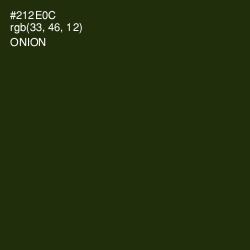 #212E0C - Onion Color Image