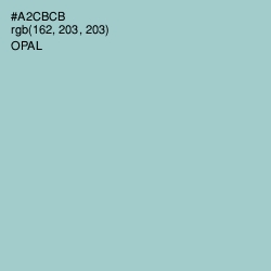 #A2CBCB - Opal Color Image