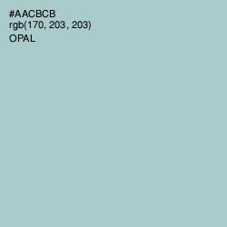#AACBCB - Opal Color Image