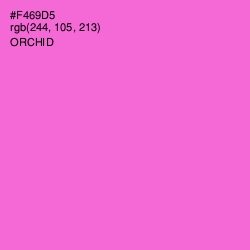 #F469D5 - Orchid Color Image