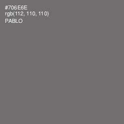 #706E6E - Pablo Color Image