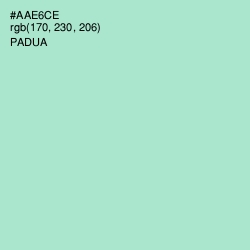 #AAE6CE - Padua Color Image