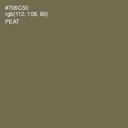 #706C50 - Peat Color Image