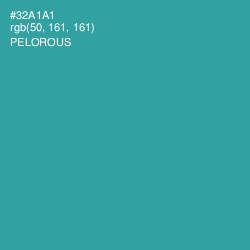 #32A1A1 - Pelorous Color Image