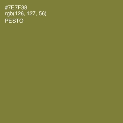 #7E7F38 - Pesto Color Image