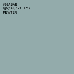 #93ABAB - Pewter Color Image