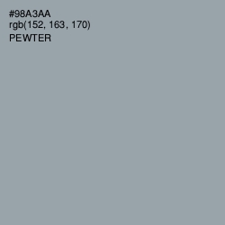 #98A3AA - Pewter Color Image
