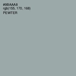 #9BAAA8 - Pewter Color Image