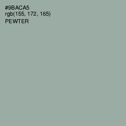 #9BACA5 - Pewter Color Image
