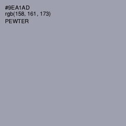 #9EA1AD - Pewter Color Image