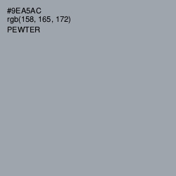 #9EA5AC - Pewter Color Image