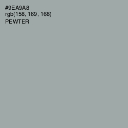 #9EA9A8 - Pewter Color Image