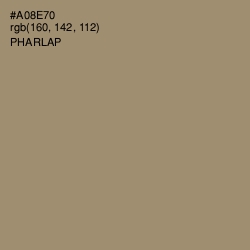 #A08E70 - Pharlap Color Image