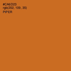 #CA6D23 - Piper Color Image