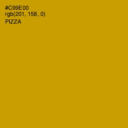 #C99E00 - Pizza Color Image