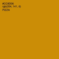 #CC8D06 - Pizza Color Image