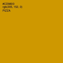 #CD9800 - Pizza Color Image