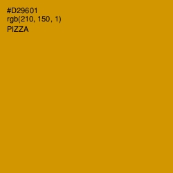 #D29601 - Pizza Color Image