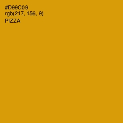 #D99C09 - Pizza Color Image