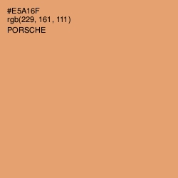 #E5A16F - Porsche Color Image