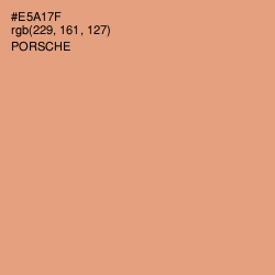 #E5A17F - Porsche Color Image