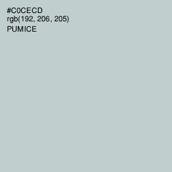 #C0CECD - Pumice Color Image