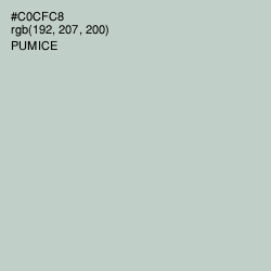 #C0CFC8 - Pumice Color Image