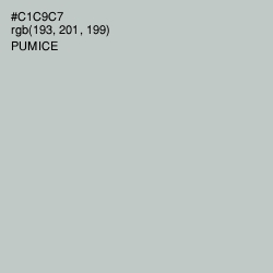 #C1C9C7 - Pumice Color Image