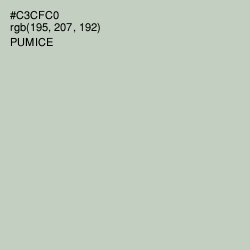 #C3CFC0 - Pumice Color Image