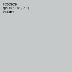 #C5C9C9 - Pumice Color Image