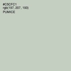 #C5CFC1 - Pumice Color Image