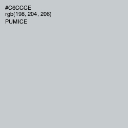 #C6CCCE - Pumice Color Image