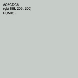 #C6CDC8 - Pumice Color Image