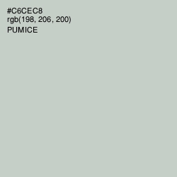 #C6CEC8 - Pumice Color Image