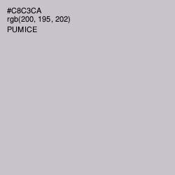 #C8C3CA - Pumice Color Image