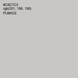 #C9C7C3 - Pumice Color Image