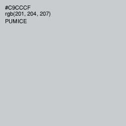 #C9CCCF - Pumice Color Image