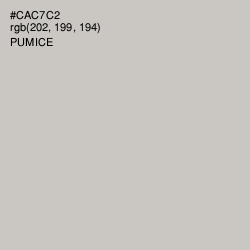#CAC7C2 - Pumice Color Image