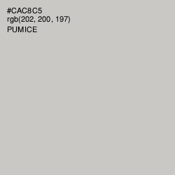 #CAC8C5 - Pumice Color Image