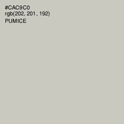 #CAC9C0 - Pumice Color Image