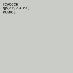 #CACCC8 - Pumice Color Image